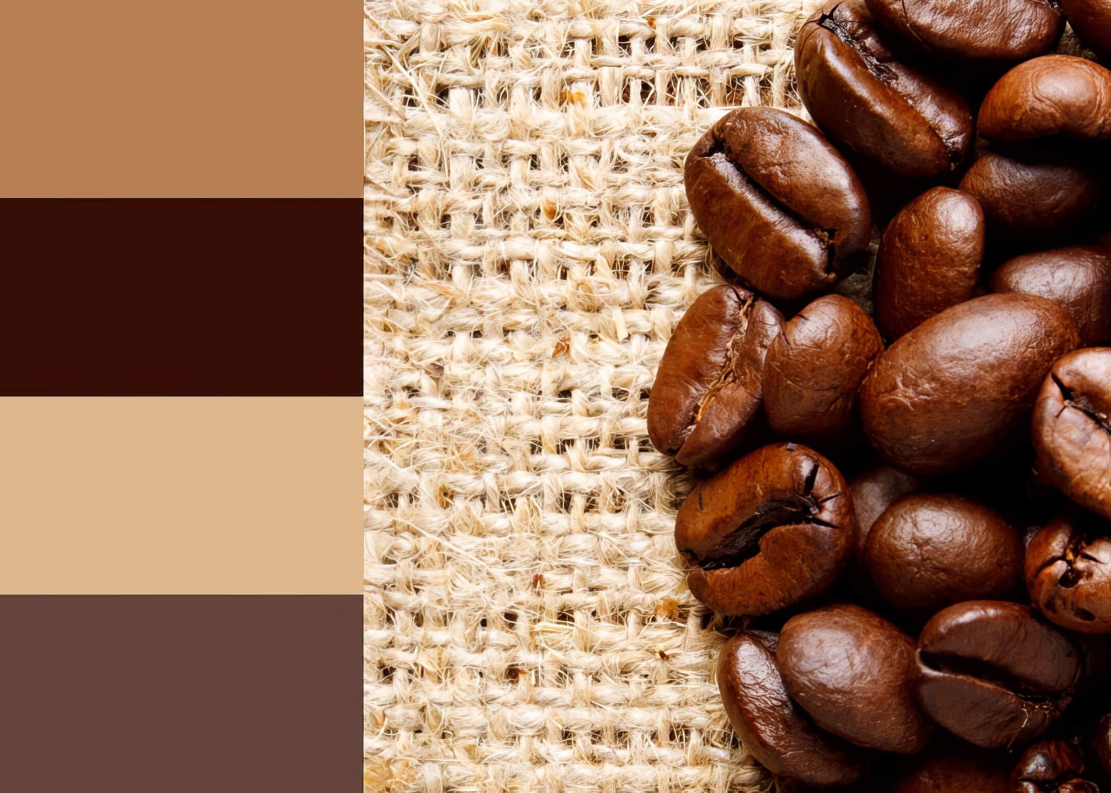 Brown color combinations