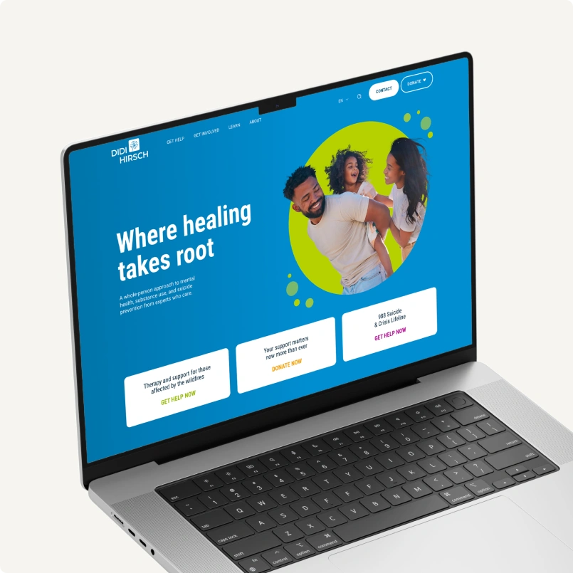 DDH Website Thumbnail