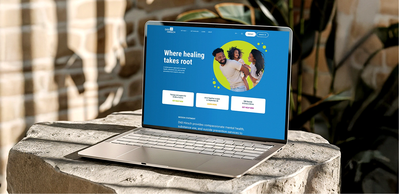 DDH website browse in a laptop