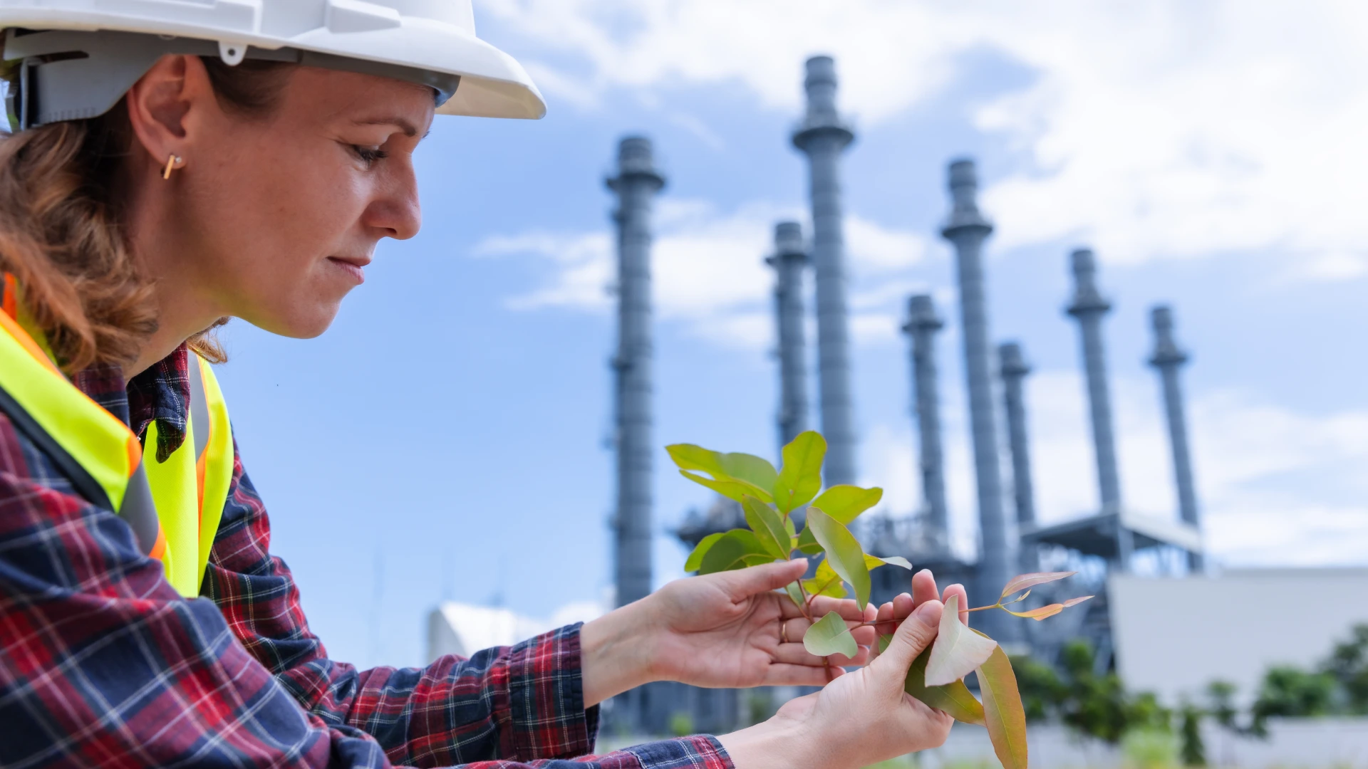 Female engineer inspects young tree