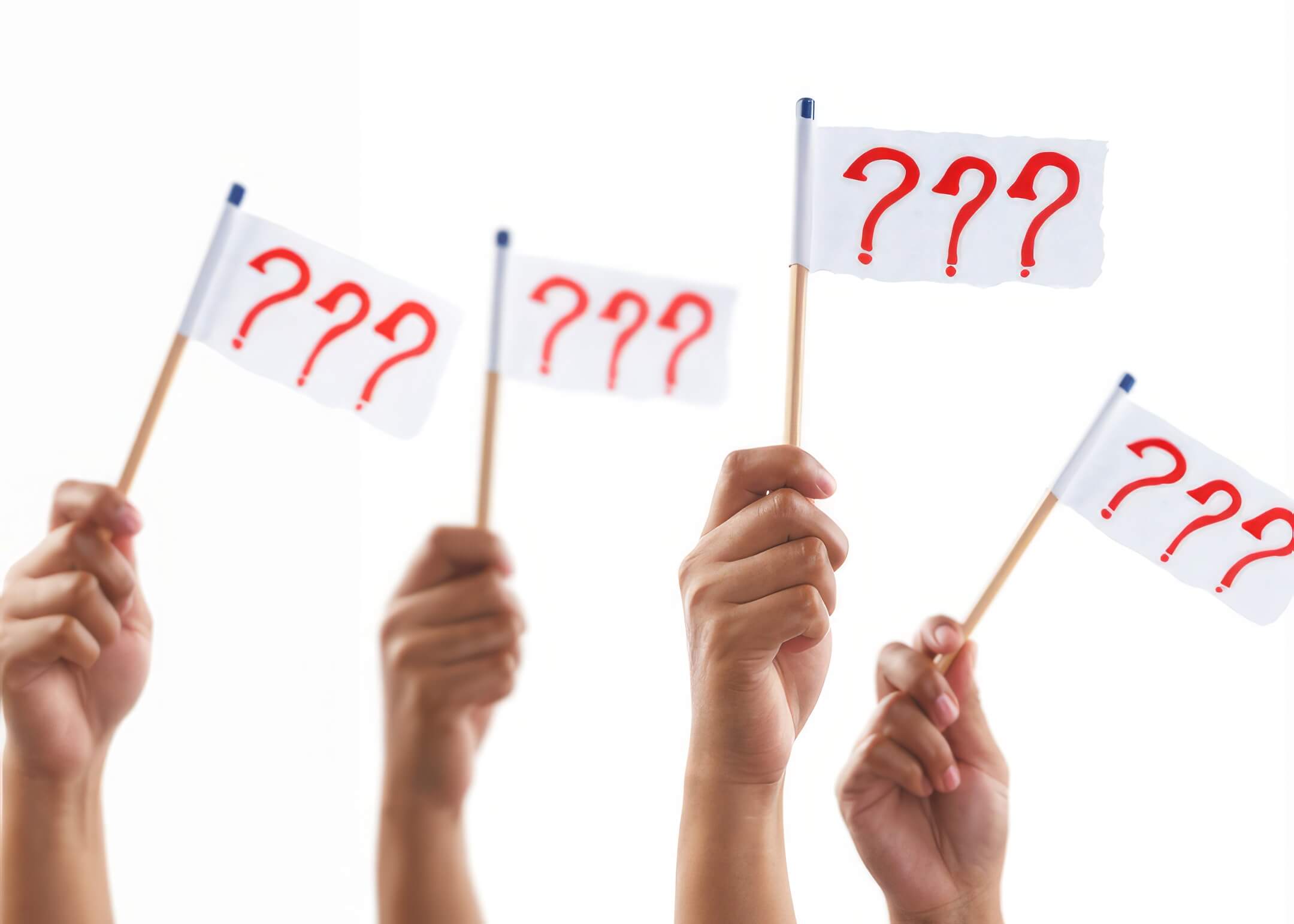 people holding flags with question marks