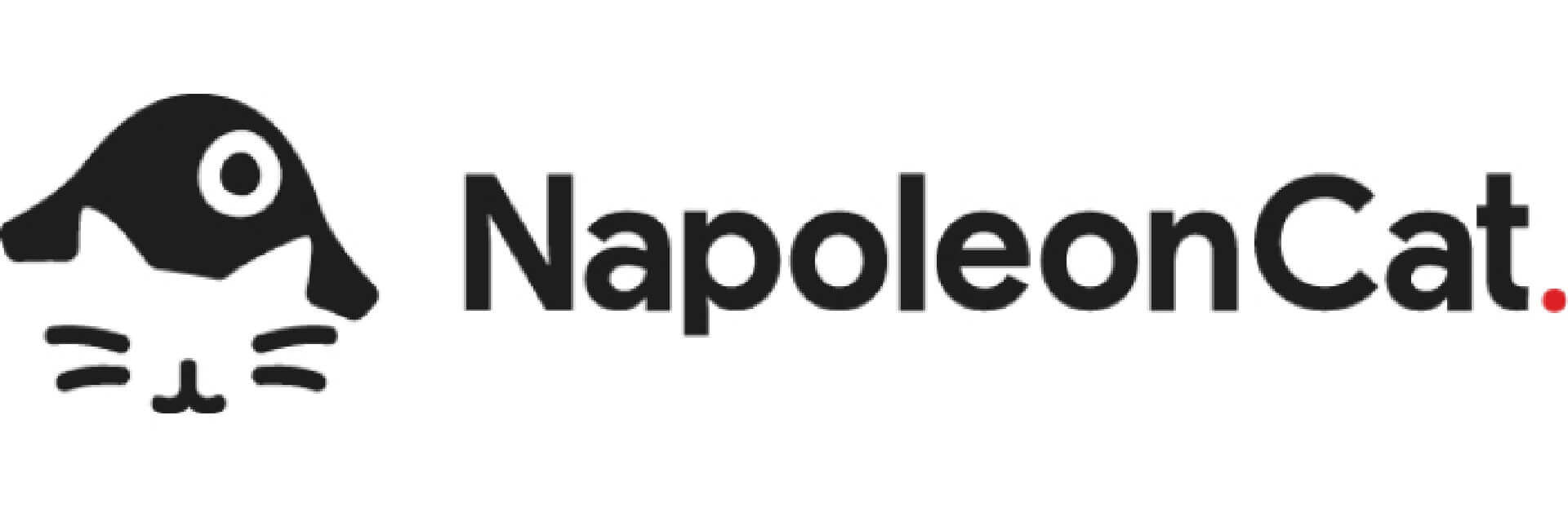 NapoleonCat Logo