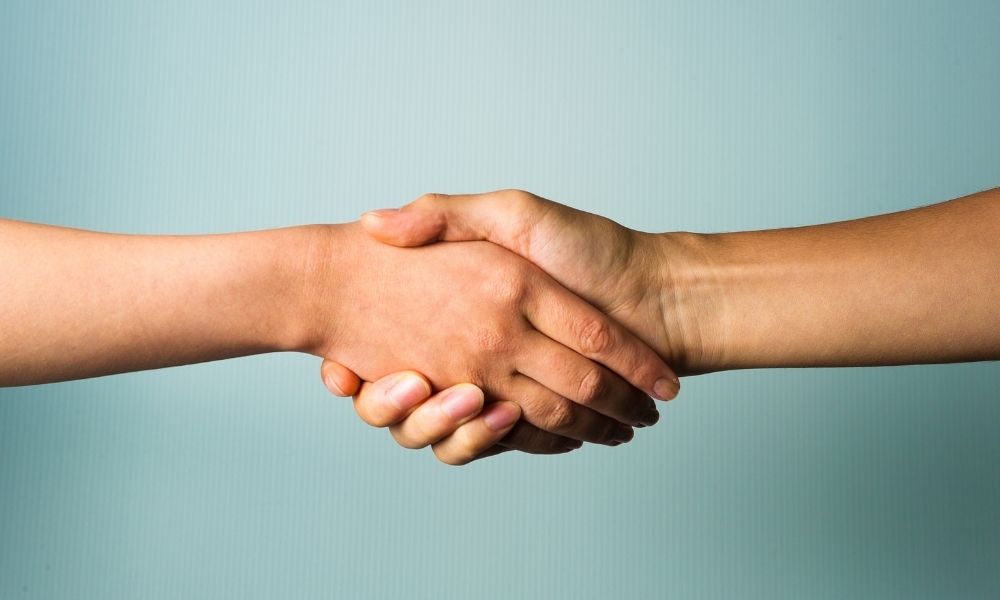 a handshake of two people