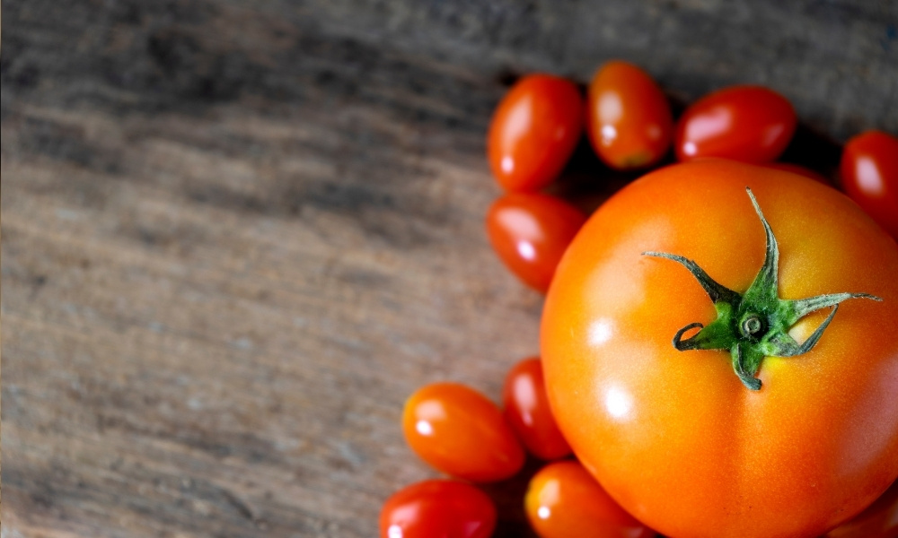 big tomato with several small tomatoes