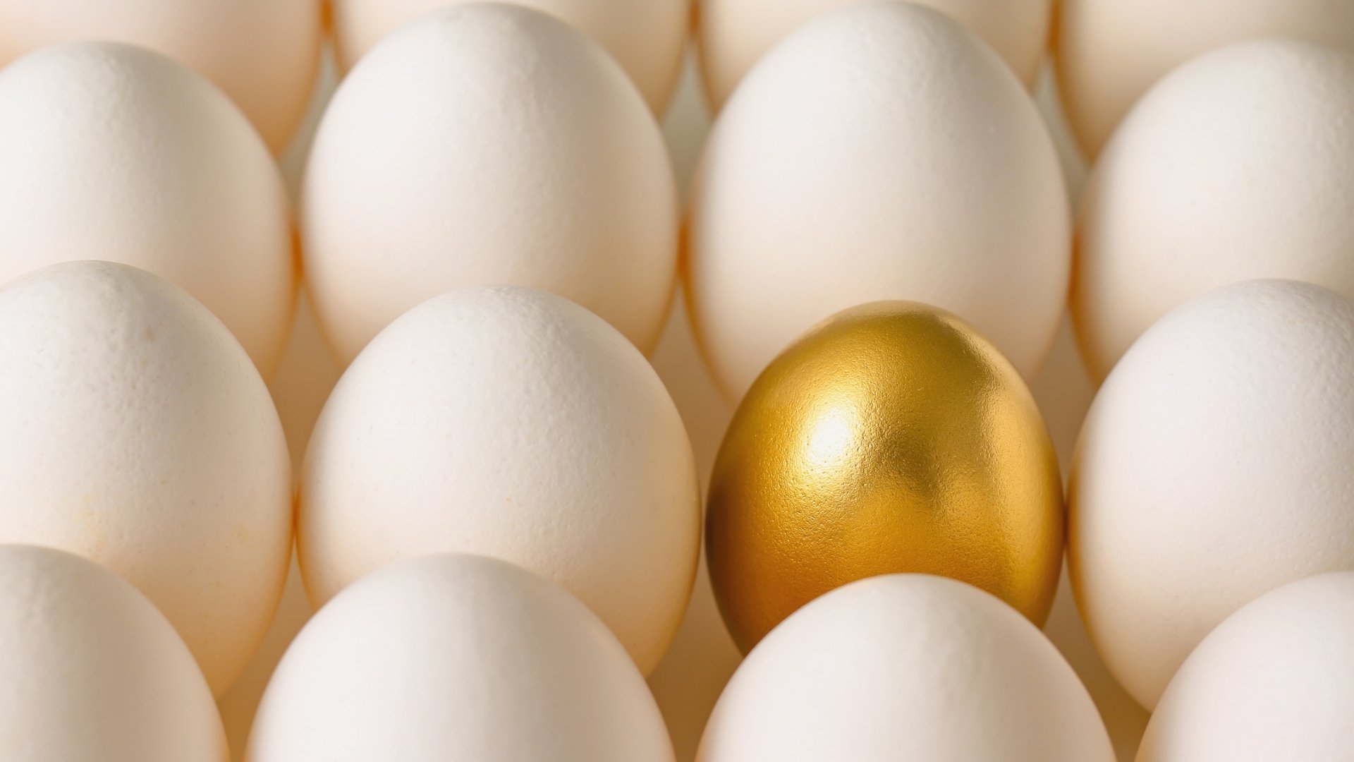 golden egg surrounded by normal eggs