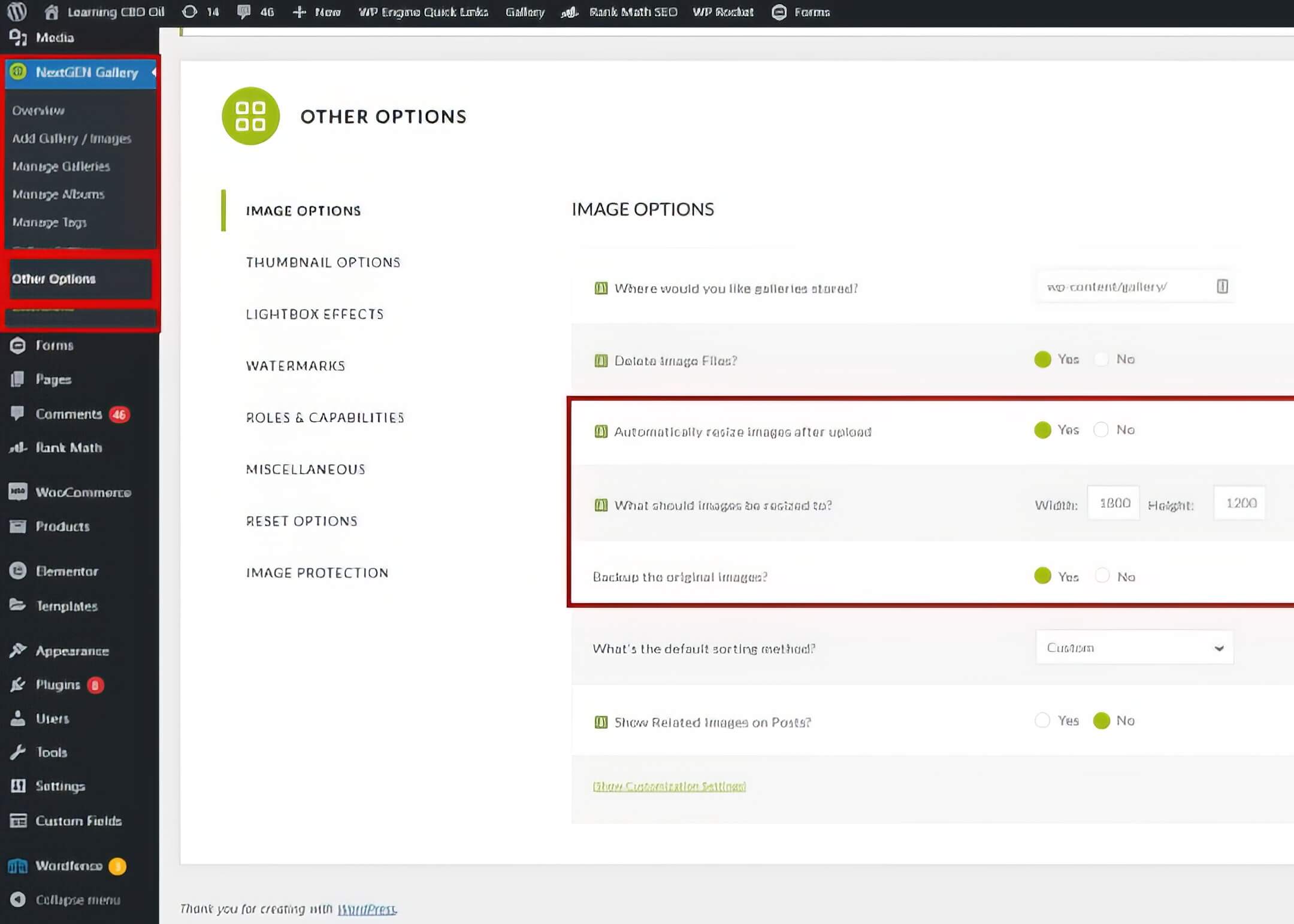 image optimization in nextgen