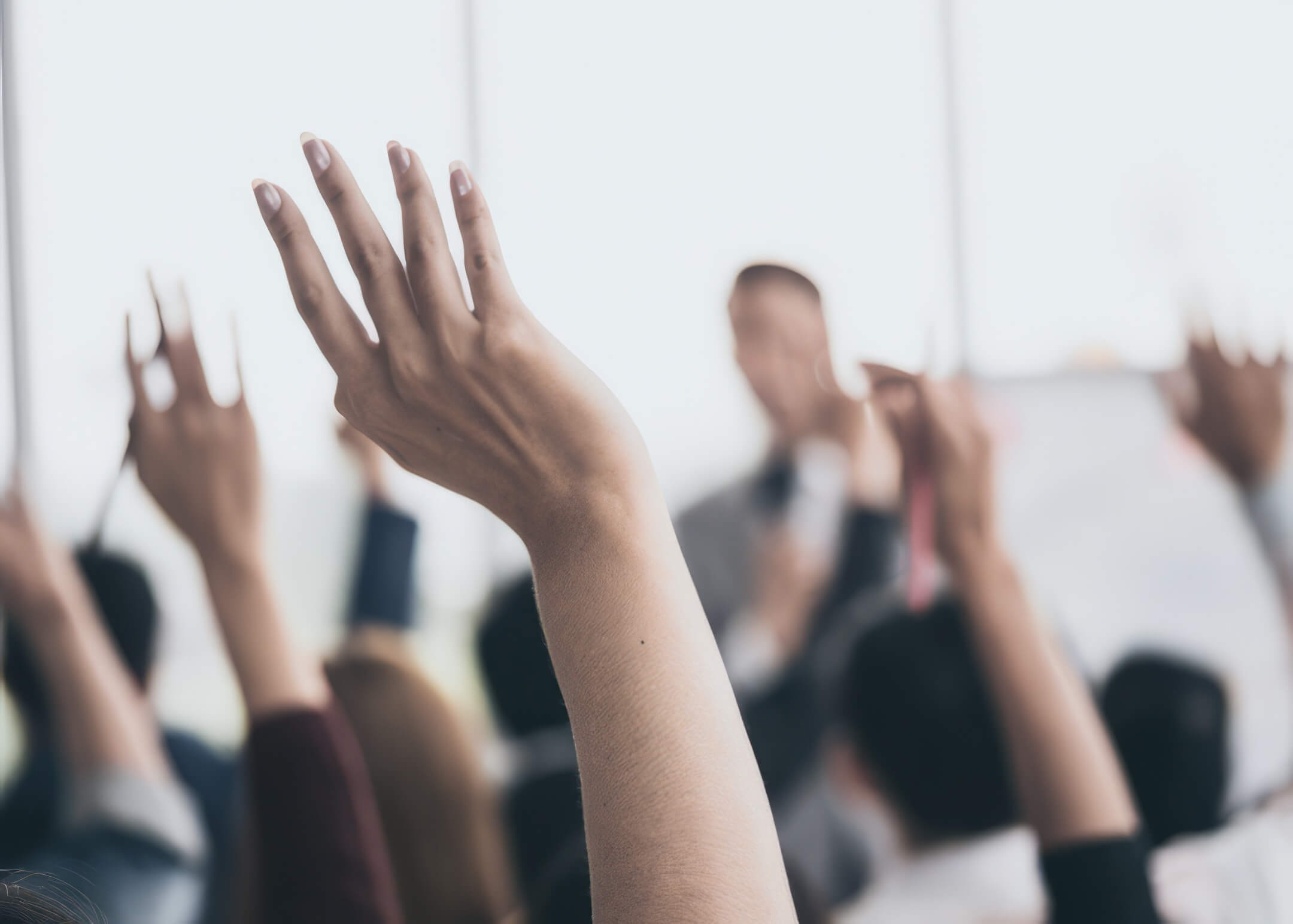 people raising their hands to ask about seo web design