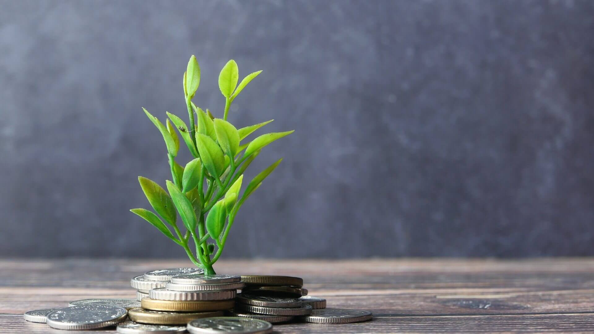 plant growing on top of coins