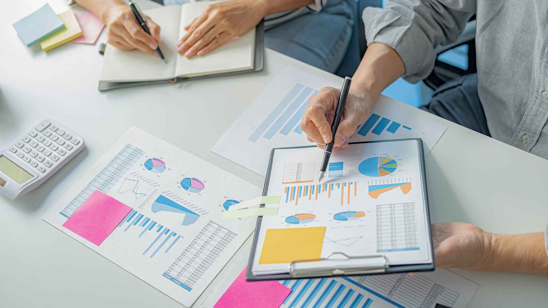 professional SEO specialist examining data